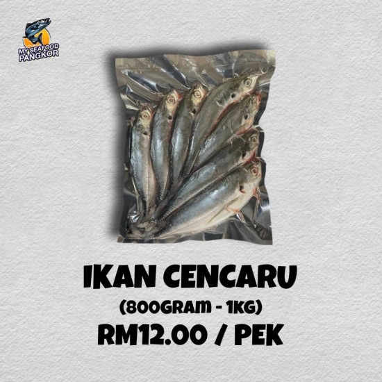 Ikan Cencaru Freshpack