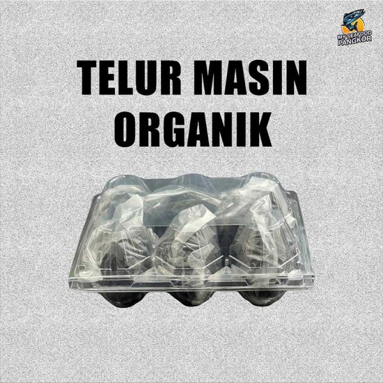 Telur Masin Organik