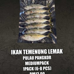 Ikan Temenung Lemak Pulau Pangkor Medium Pack