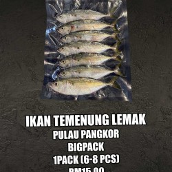 Ikan Temenung Lemak Pulau Pangkor Big Pack