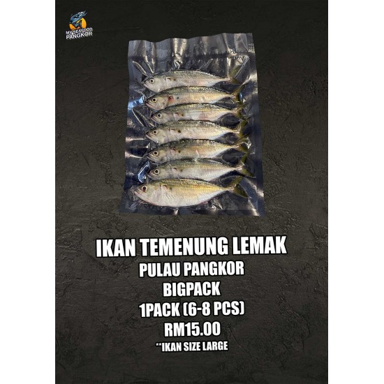 Ikan Temenung Lemak Pulau Pangkor Big Pack